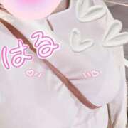 ヒメ日記 2026/03/24 23:19 投稿 はる 蒲田ちゃんこ