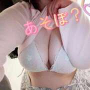 ヒメ日記 2026/03/25 15:49 投稿 はる 蒲田ちゃんこ