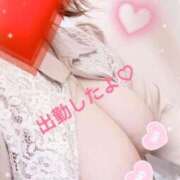 ヒメ日記 2026/03/26 12:19 投稿 はる 蒲田ちゃんこ