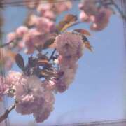 月島 ゆい ありがとう！ こあくまな熟女たち小倉店（KOAKUMAグループ）