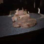 ヒメ日記 2026/03/20 22:58 投稿 すい 聖女(マリア)