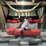 ヒメ日記 2026/02/23 18:17 投稿 かれん【超激カワお姫様】 ポニーテール和歌山店