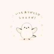 ヒメ日記 2026/05/31 01:16 投稿 ひなの CUTE
