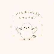 ヒメ日記 2026/06/26 02:46 投稿 ひなの CUTE