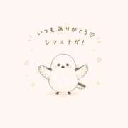 ヒメ日記 2026/07/08 02:16 投稿 ひなの CUTE