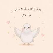 ヒメ日記 2026/08/11 03:01 投稿 ひなの CUTE