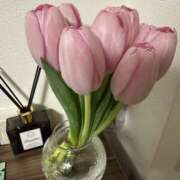 ヒメ日記 2026/02/11 00:39 投稿 小春/こはる 五反田アネージュ（ユメオト）