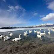 ヒメ日記 2026/02/16 00:21 投稿 小春/こはる 五反田アネージュ（ユメオト）