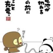 ヒメ日記 2026/03/06 07:11 投稿 すい 熟女の風俗最終章 宇都宮店