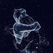 ヒメ日記 2026/03/11 21:31 投稿 すい 熟女の風俗最終章 宇都宮店