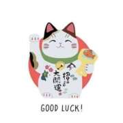 ヒメ日記 2026/03/22 15:41 投稿 すい 熟女の風俗最終章 宇都宮店