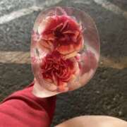 ヒメ日記 2026/03/28 10:51 投稿 すい 熟女の風俗最終章 宇都宮店