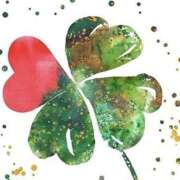 ヒメ日記 2026/04/08 14:51 投稿 すい 熟女の風俗最終章 宇都宮店