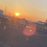 ヒメ日記 2026/05/17 05:21 投稿 すい 熟女の風俗最終章 宇都宮店