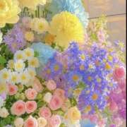 ヒメ日記 2026/05/23 19:11 投稿 すい 熟女の風俗最終章 宇都宮店