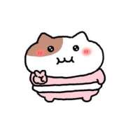 ヒメ日記 2026/02/19 21:04 投稿 うさ ソープランド メイド館 ラ・メイド