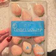 ヒメ日記 2026/02/22 12:04 投稿 うさ ソープランド メイド館 ラ・メイド