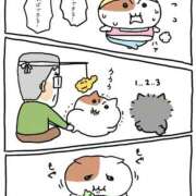 ヒメ日記 2026/02/23 10:49 投稿 うさ ソープランド メイド館 ラ・メイド