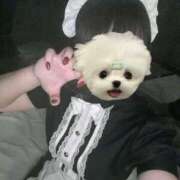 ヒメ日記 2026/02/23 17:27 投稿 うさ ソープランド メイド館 ラ・メイド