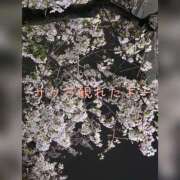 ヒメ日記 2026/04/01 23:04 投稿 南野ジュン 三丁目の奥様（東京ハレ系）