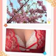 ヒメ日記 2026/03/25 13:41 投稿 かりん・２月７日入店 みやこ