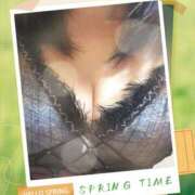 ヒメ日記 2026/04/02 21:55 投稿 かりん・２月７日入店 みやこ