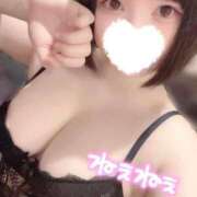 ヒメ日記 2026/04/07 11:31 投稿 巫（みこ） 男爵