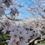 かえで 🧡 Respect