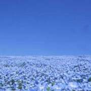 ヒメ日記 2026/04/18 19:30 投稿 かえで Respect