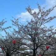 ヒメ日記 2026/04/02 18:22 投稿 浜崎 ななえ☆2 TiAmo（ティアモ）