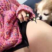 ヒメ日記 2026/02/26 18:39 投稿 峰　エリカ OLピンクコレクション