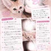 もな 動物診断🐈 池袋あられ