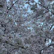 ヒメ日記 2026/04/16 13:18 投稿 みつり Profile～プロフィール～（那覇）