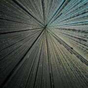 ヒメ日記 2026/03/10 16:39 投稿 みな クラブ貴公子