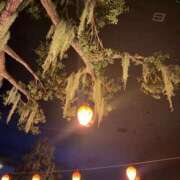 ヒメ日記 2026/04/01 17:38 投稿 みな クラブ貴公子