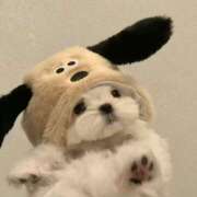 ヒメ日記 2026/03/06 18:20 投稿 ♡そら♡ Vacances（バカンス）