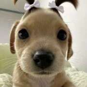 ヒメ日記 2026/03/27 18:40 投稿 ♡そら♡ Vacances（バカンス）