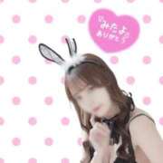 ヒメ日記 2026/04/09 08:32 投稿 ひかり　まばゆい光を放つ美女 ROYAL FACE