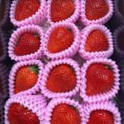 ヒメ日記 2026/03/11 17:32 投稿 杉浦みなみ(すぎうらみなみ) 東京ヒストリー　秘密の約束