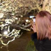 ヒメ日記 2026/02/14 20:20 投稿 こはく リアル難波店