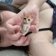 ヒメ日記 2026/02/19 18:10 投稿 こはく リアル難波店