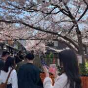 ヒメ日記 2026/02/20 17:35 投稿 こはく リアル難波店