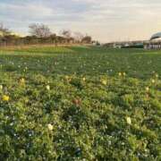 こはく ぬくもり感じる瞬間 リアル難波店