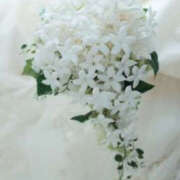 ヒメ日記 2026/02/19 17:29 投稿 まり 兵庫加東小野ちゃんこ