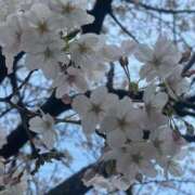 ヒメ日記 2026/04/01 18:10 投稿 もも 台北(たいぺい）
