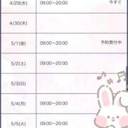 ヒメ日記 2026/04/29 15:30 投稿 もも 台北(たいぺい）