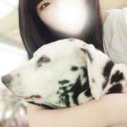 ヒメ日記 2026/02/10 16:38 投稿 みしん ミラー