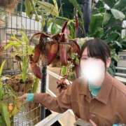 ヒメ日記 2026/02/21 22:32 投稿 みしん ミラー