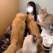 ヒメ日記 2026/02/22 10:55 投稿 みしん ミラー