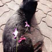 ヒメ日記 2026/02/23 00:32 投稿 みしん ミラー